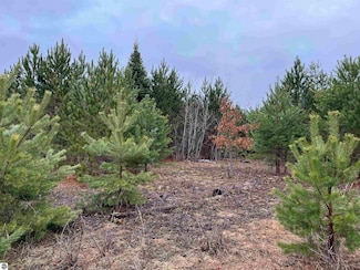 10299 Levi Ln, Paradise Township, MI 49649