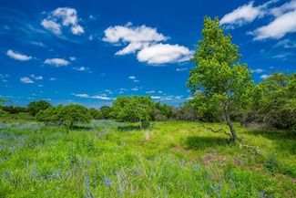 0 Jung Rd Unit 20890849, Harper, TX 78631