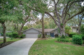 1730 Pine Hill Ct, Safety Harbor, FL 34695