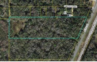 11644 S Us Highway 301, Webster, FL 33597
