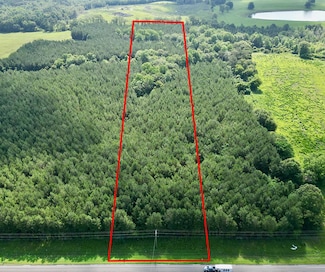 11 Us Hwy 231 S, Brundidge, AL 36010