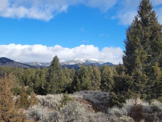 TBD Parcels 3A Bivens Creek Ridge Rd, Sheridan, MT 59749