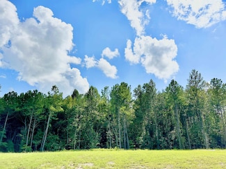 2644 Catheys Creek Cir, Wendell, NC 27591