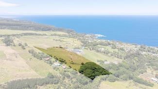 36-239 Manowaiopae Homestead Rd, Laupahoehoe, HI 96764