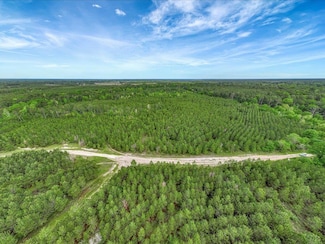 R19034 Tall Pines Rd, Burke, TX 75941