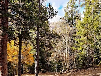 102 Gold Trail, Fairplay, CO 80440