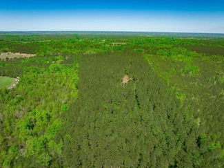 0 Pine Grove Rd Unit 23480750, Saluda, SC 29166