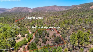 28 N Chamberlain Trail Unit 28, Young, AZ 85554