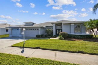 1438 Winding Willow Dr, Trinity, FL 34655