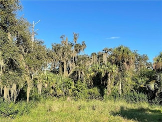 0 Secretariat Dr SW Unit 22570433, Other City Value - Out of Area, FL 33935