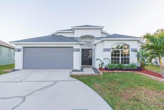 29540 Ox Eye Ct, Wesley Chapel, FL 33543