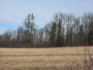 ON Town Line Rd, Ojibwa, WI 54862