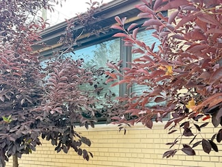 4201 W 55th St Unit 1, Chicago, IL 60632