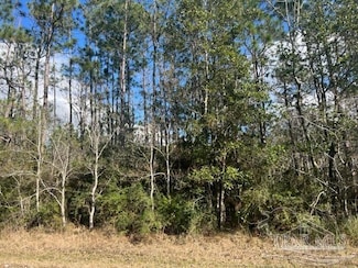7-A Buffler Dr, Avalon, FL 32583