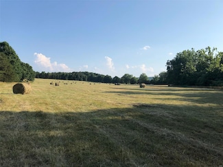 23479 State Highway 32, Belleview, MO 63623