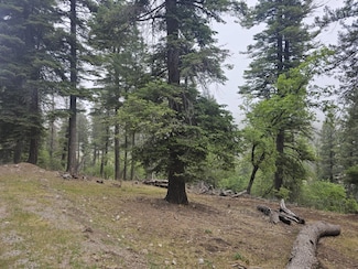 000 Canyon Trail Unit 82+, Cloudcroft, NM 88317