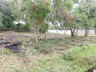 24 Lysander Ln, Palm Coast, FL 32137