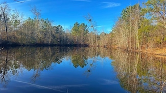 0 Davis Cemetery Rd, McIntyre, GA 31054