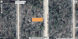 0 Dothan St Unit 1179192, Interlachen, FL 32148