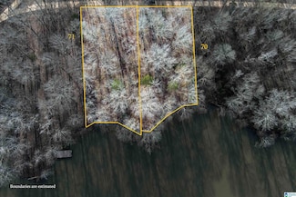 0 River Oaks Landing Cir Unit 28 21410009, Orrville, AL 36767