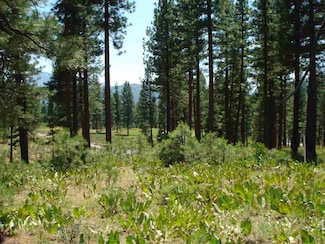 69 Blacktail Ridge, Beckwourth, CA 96122