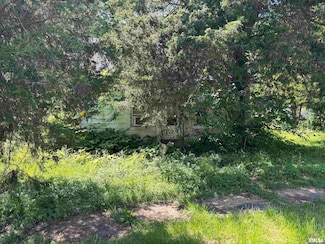 301 N 5th St, Elkville, IL 62932