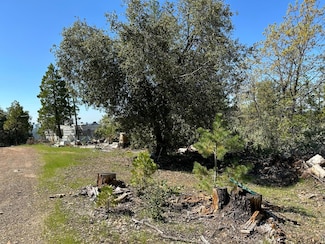 9809 Wildrose Ln, Coulterville, CA 95311