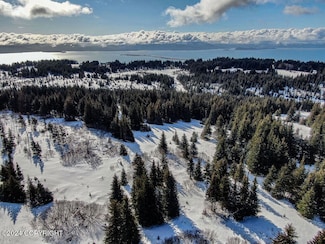 61447 Florence Martin Ct, Homer, AK 99603