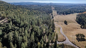 10440 Tabeaud Rd, Pine Grove, CA 95665