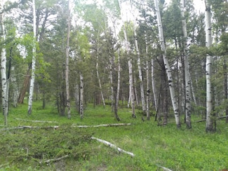 525 Crest Dr, Cimarron, CO 81220