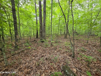 2 Cumberland Lakes Dr, Monterey, TN 38574