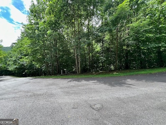 0 Overlook Dr Unit 10345166, Young Harris, GA 30582