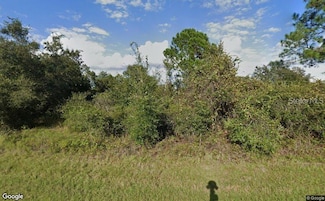 1513 Mediterranean Dr, Kissimmee, FL 34759