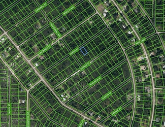 1221 Curtis St, Lake Placid, FL 33852