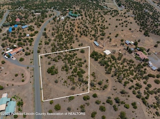 166 W Grandview Rd, Capitan, NM 88316