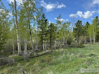 137 Cimarron Rd, Red Feather Lakes, CO 80545