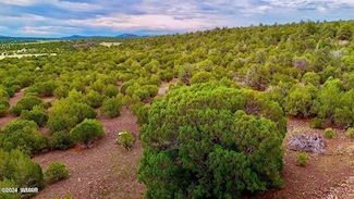 0 Tbd N3218 37 Acres, Vernon, AZ 85940