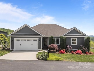 9 Endless View Dr, Weaverville, NC 28787