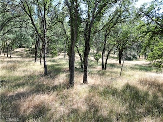 16625 Rancho Tehama Rd, Corning, CA 96021