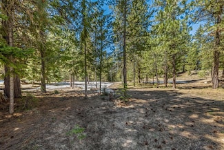 1629A Lakeridge Dr, McCall, ID 83638
