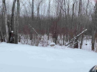 Parcel E Silver Strand Rd, Munro Township, MI 49755