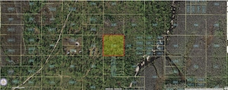 0 Holopaw Groves Rd Unit MFRO6241744, Saint Cloud, FL 34773