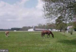 00 Richardson Rd, Willards, MD 21874