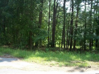 51 Byrnes Cir, Johnsonville, SC 29555