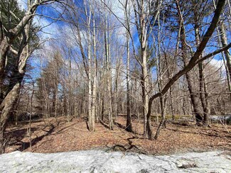 B (Lot 2) Canterbury Rd, Manchester, VT 05255