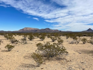 TR:604C Ltm Rd, Terlingua, TX 79852
