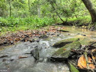 LOT 45 Synacia Dr, Mineral Bluff, GA 30559