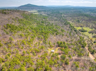 31541 County Road 1350, Kinta, OK 74552