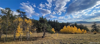 813 Yellowstone Rd Unit 147, Hartsel, CO 80449