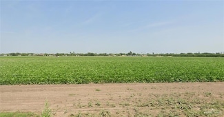 0 E Nolana Loop, Alamo, TX 78516